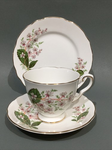 Royal stafford bone china tea - stafford,