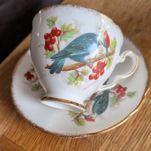Royal stafford bone - bone, tea