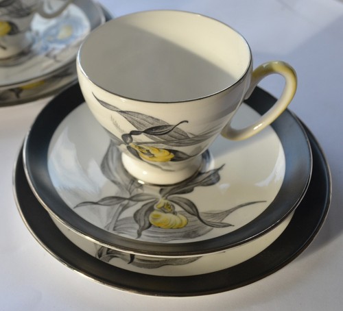 Royal stafford merlin - royal,